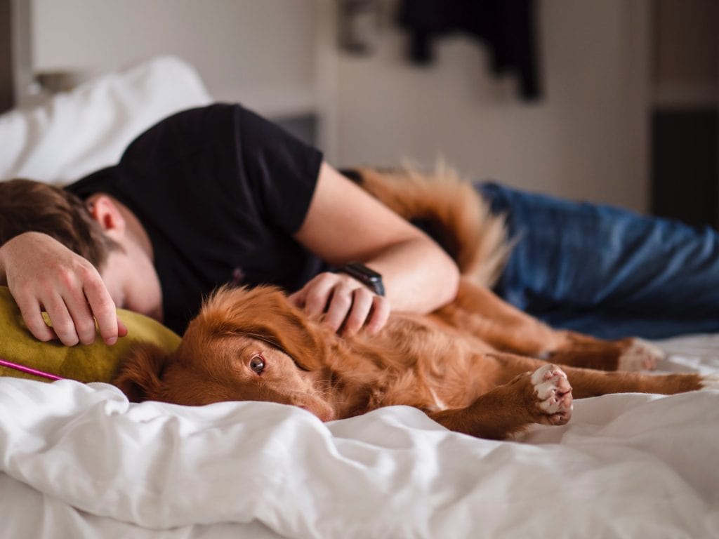 man sleeping next to his dog